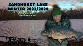 THE VLOG  #25 - SANDHURST LAKE WINTER 2023/2024