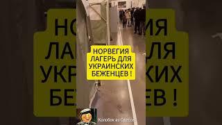 НОРВЕГИЯ ЛАГЕРЬ ДЛЯ УКРАИНСКИХ БЕЖЕНЦЕВ !! #trip #норвегия #УКРАИНСКИЕ БЕЖЕНЦЫ