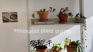 MINIMALIST PLANT STYLING 101 | how to decorate a small bedroom with plants, minimalist aesthetic