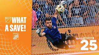 What A Save! | The BEST Saves of Matchday 25!