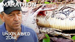 TOP 3 MASSIVE SWAMP BEASTS *Marathon* | Swamp Mysteries with Troy Landry | The UnXplained Zone