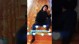 Alisheri Zafarzod 2025