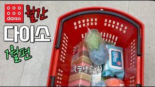 월간다이소 1월편3만원장보기/나만의 꿀템공개취미= 다이소쇼핑