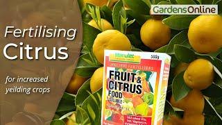 Fruit and Citrus Food - Manutec