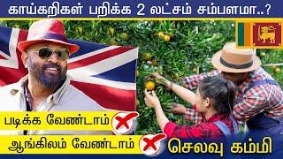 காய்கறிகள் பறிக்க 2 லட்சம் சம்பளமா? | படிப்பு வேண்டாம் ஆங்கில வேண்டாம் |London Tamilan