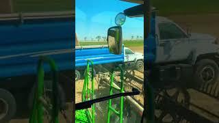 Pea Harvest 2022 #harvest #peas #harvest22 #farm #familyfarm #farmher #dowhatyoulove #farmer