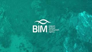 Aquamarine Garden at BLOOM 2019 | BIM