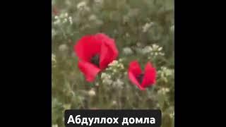 Абдуллох домла
