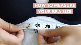 Have You Been Wearing The Wrong Bra Size?! Here's The RIGHT Way To Measure Your Bra Size