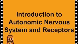 Pharmacology- Autonomic Nervous System ANS Cholinergic and Adrenergic Receptors!