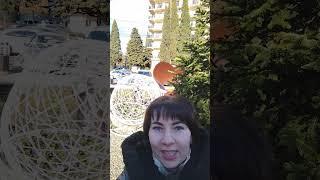 Солнечный Сочи