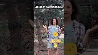 Дневник латифундиста. День пятный. #дача #благоустройствоучастка