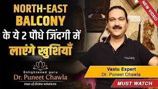 North East Balcony के यह दो पौधे ज़िन्दगी में लायेंगे खुशिया | Vastu For North East Direction