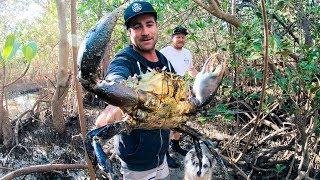 GIANT MUD CRAB Catch And Cook Camp Fire (Rock Knife And Flint) - Ep 90