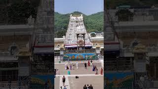 Sri venkateswara temple tirumala #tirumala #tirupati #shortvideo