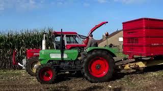 Mais hakselen Deutz D62 06 en Mengele MB 220 en Schlüter Compact 950 TV met Mengele MB 350