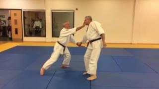 Goshin ho 5 techniques- Shodokan aikido