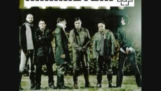 Rammstein- Mutter and Lyrics