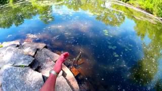 Bait fishing with micro jig's/ Sight fishing for  Catfish & Bass baits