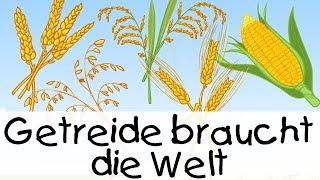  Getreide braucht die Welt || Kinderlieder zum Lernen