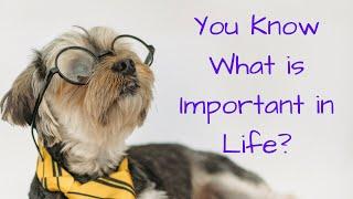 You Know What is Important in Life? | A Short Inspirational Story #motivation #spurtalks