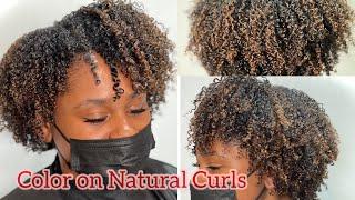 Highlights NO BLEACH on Natural Curls