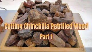 cutting Chinchilla petrified wood part 1 #petrifiedwood #thefinders