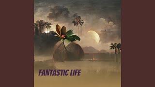 Fantastic Life