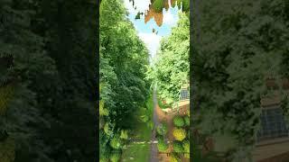 Measure Height Of Tree Through Photogrametry Or Drones #viralvideo #youtubeshorts #drones ...