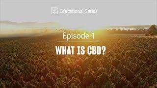 Episode 1 | What is CBD? | CBD 101