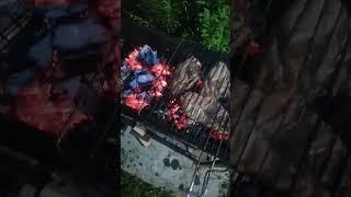 ШАШЛЫК! ОЧЕНЬ ВКУСНО! #life #like  #отдых #вкусно #tasty #meat #мясо #шашлык #шашлыкизбаранины