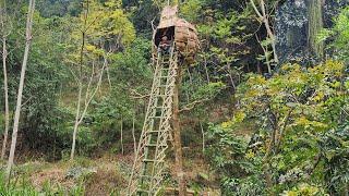 Build a tree house for only $0 - surprisingly tall tree house in honeycomb style