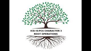 ICD-10-PCS Character 3 Root Operations