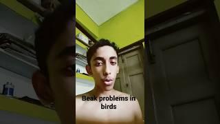 Common beak problem in birds