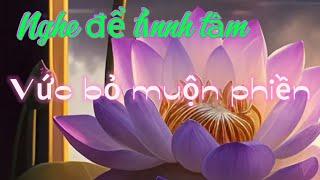 Tỉnh Tâm - An Lạc, mọi phiền muộn đã qua đừng nghĩ tới nữa.#loiphatday #tamanlac