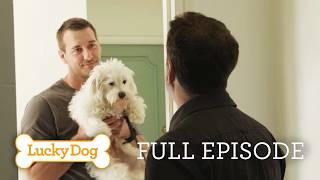 Stray Dog Becomes a Therapy Dog for Kids!  Mitzi Full Episode | Lucky Dog