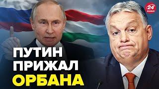 ОРБАН сильно НАКОСЯЧИЛ! В Венгрии выдали ШОКИРУЮЩЕЕ видео @OlegZhdanov