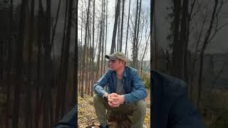 Александр Закшевский - Привет, малыш!