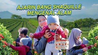 BAYI PANEN BUAH DI KEBUN STRAWBERRY BANDUNG | AZMANNIS