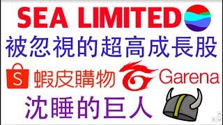 【阿D投資】- SEA LIMITED/被忽視的超高成長股/沈睡的巨人