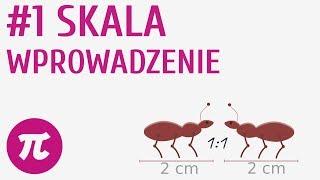 Skala - wprowadzenie #1 [ Skala - wprowadzenie ]