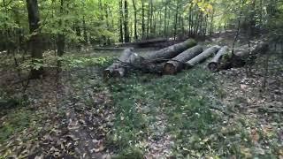 October Bike Trip. Capriana Forest. Moldova. 2024-10-26