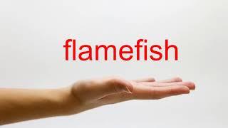 How to Pronounce flamefish - American English