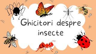 Cele mai frumoase ghicitori despre insecte - 14 ghicitori despre insecte pentru copii