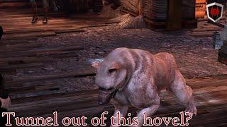 Dragon Age II - "Tunnel out of this hovel?"