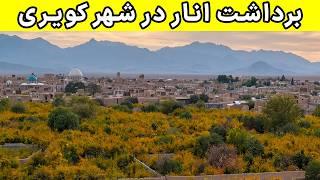 Iran Pomegranate - باورم نمیشد انار کویر به این خوبی باشه