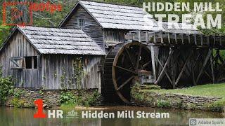 ASMR 4K 60fps Hidden Mill Stream - Rain Storm - No Talking, No Music, REALTIME NO LOOP