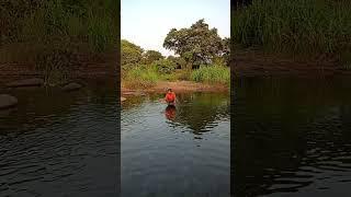 surendra patel 8874
