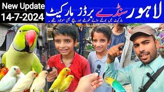 Shalimar Sunday birds market | New update price 14-7-2024 #lahorientertainmentchannel
