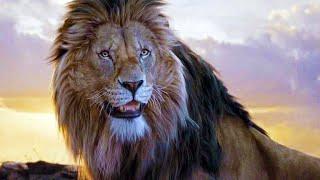 MUFASA The Lion King "Blood of the King" Trailer